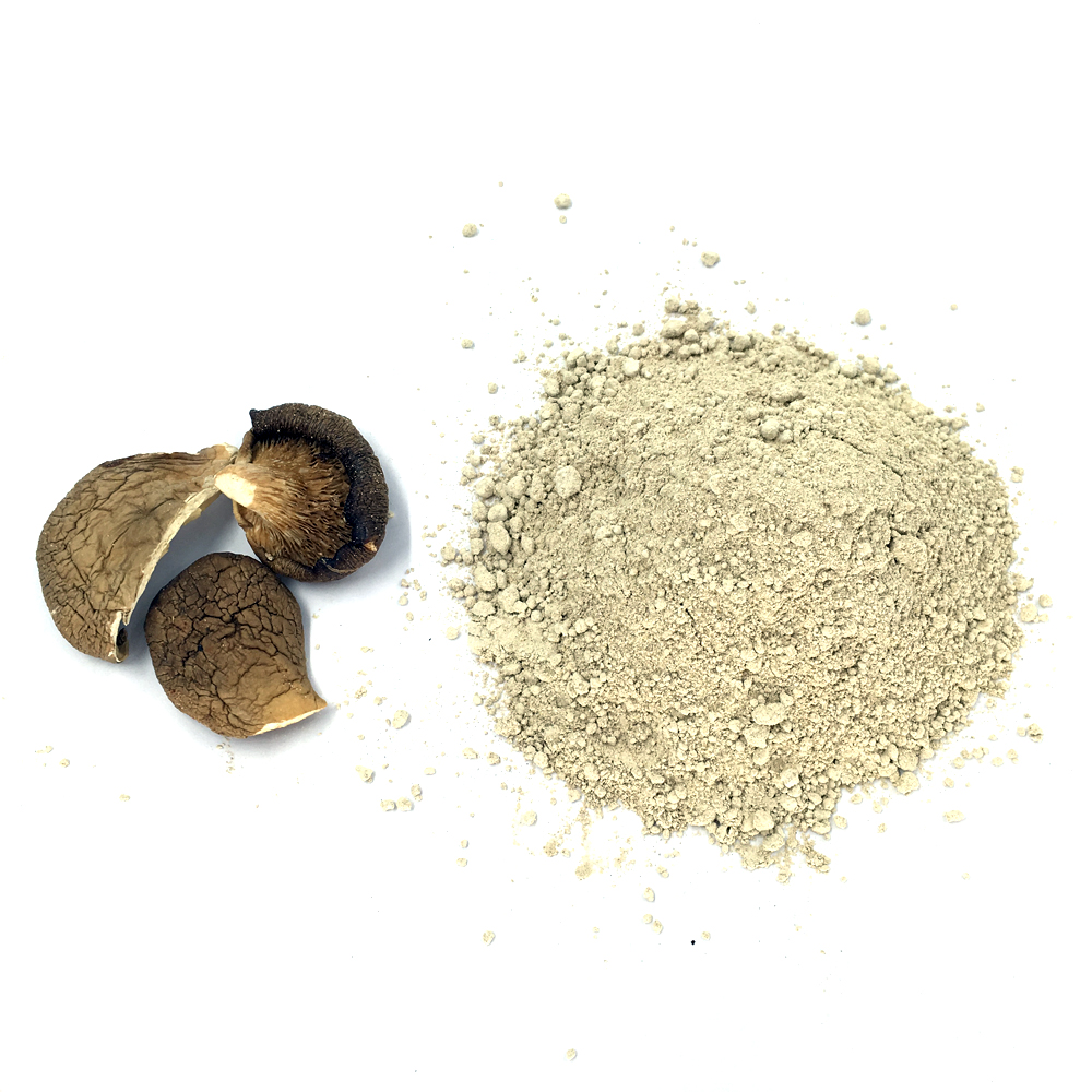 平菇粉Dried oyster mushroom powder.jpg